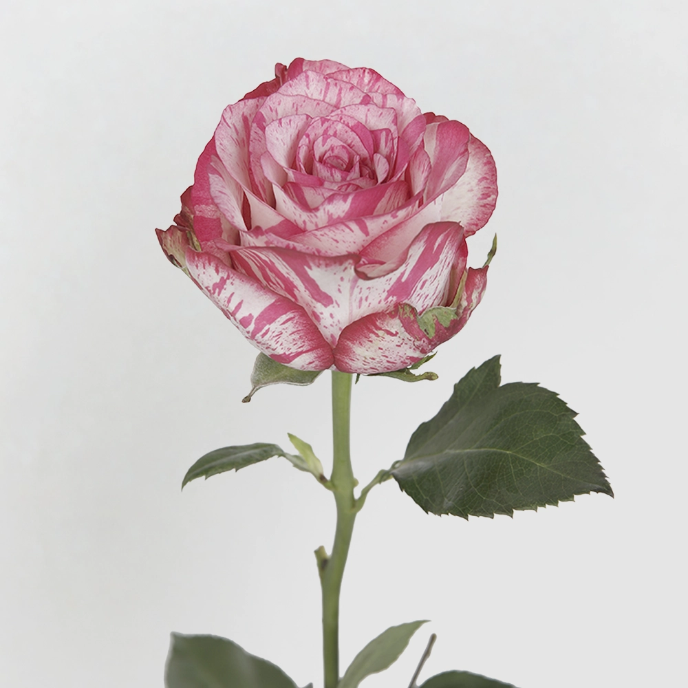 01 01