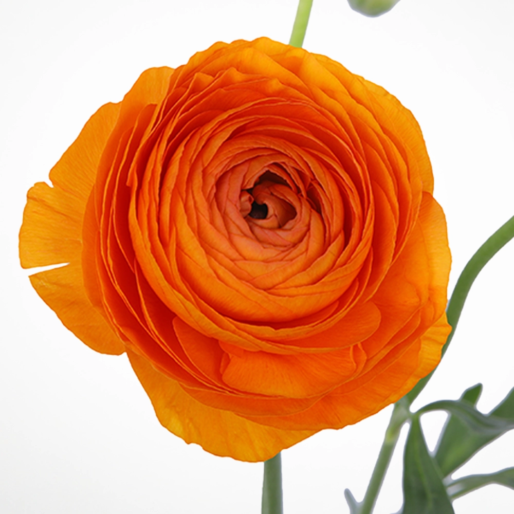 02 02